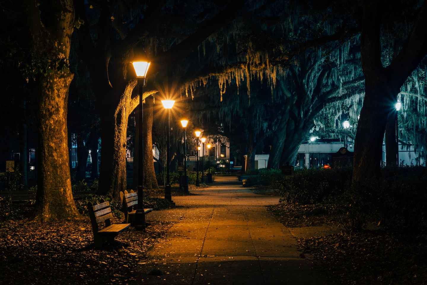 Savannah: Adults-Only Beyond Good and Evil Tour thumbnail